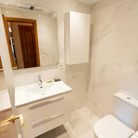 Alai Ii Ongi Etorri *